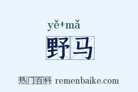野马是什么意思的图片